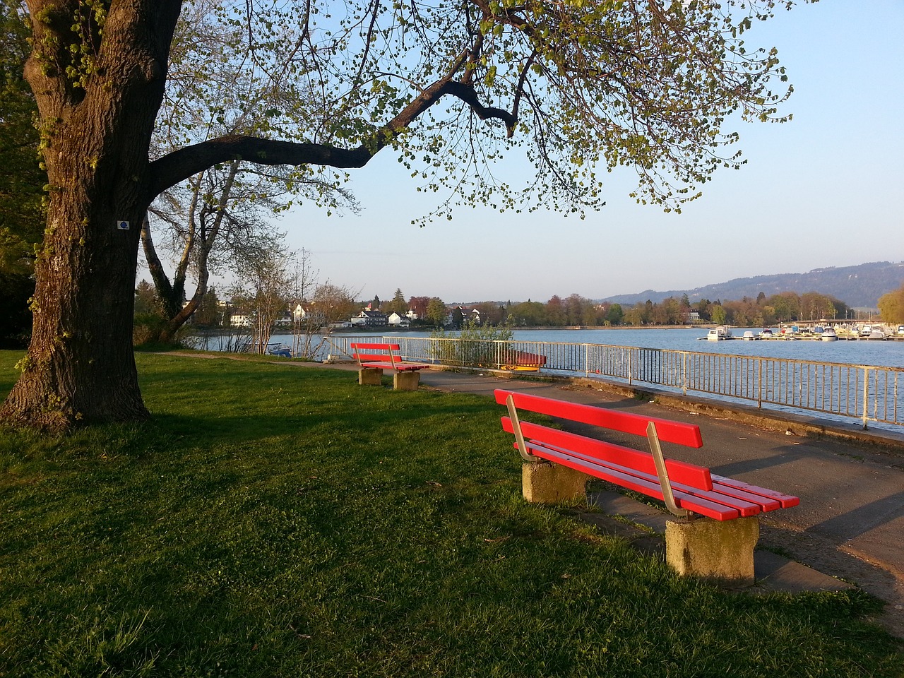 无论最后结 无论最后结