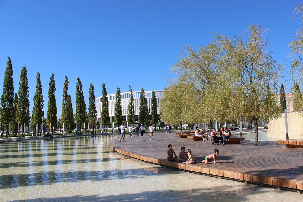 并将注意力 并将注意力