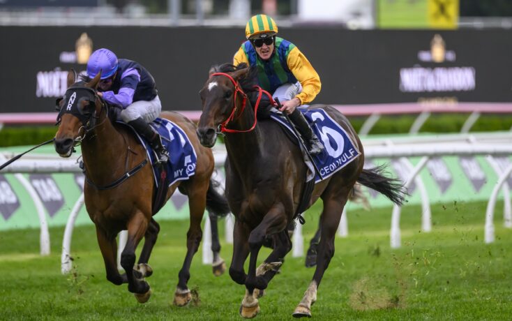 中象征顶级 中象征顶级